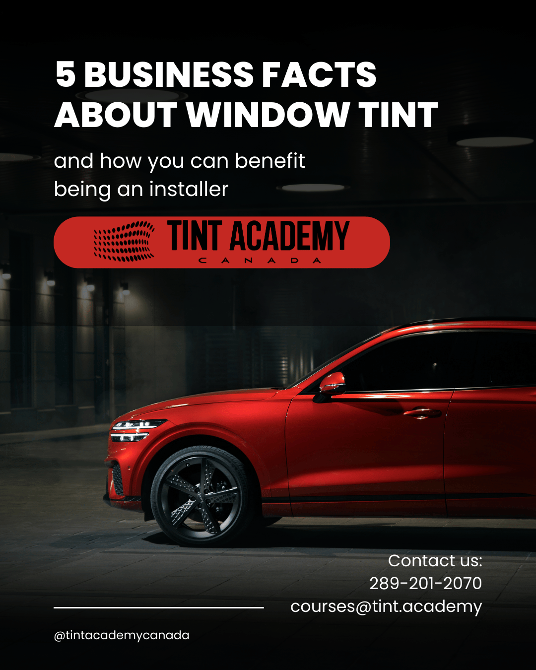 5 Astonishing Business Facts About Window Tint β And How You Can Profit!