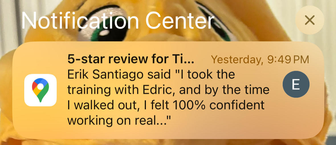 Tint Academy Review: Is the Live or Online Window Tint Course Worth It? (Full Breakdown)