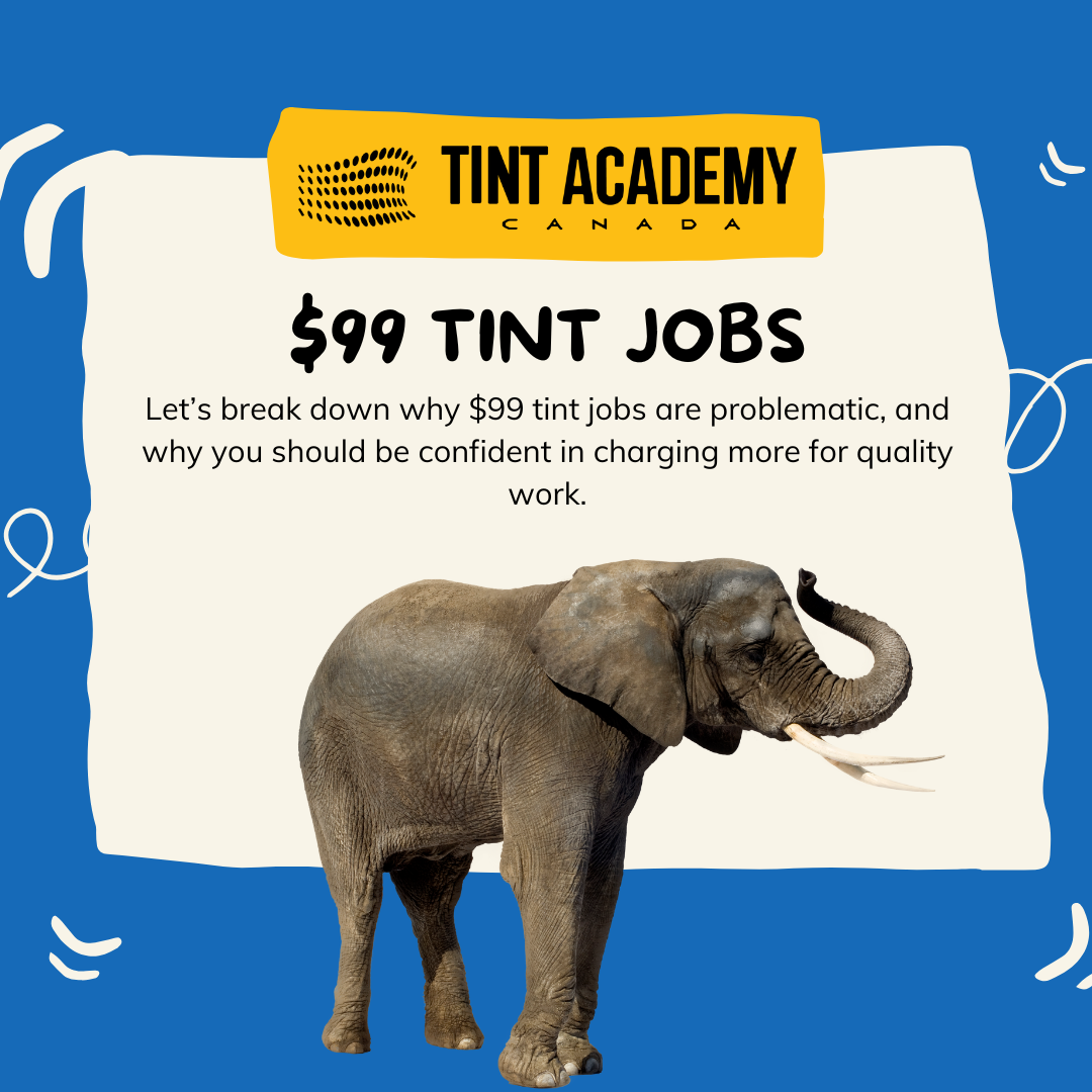 Let's discuss the elephant in the room - $99 Tint Jobs