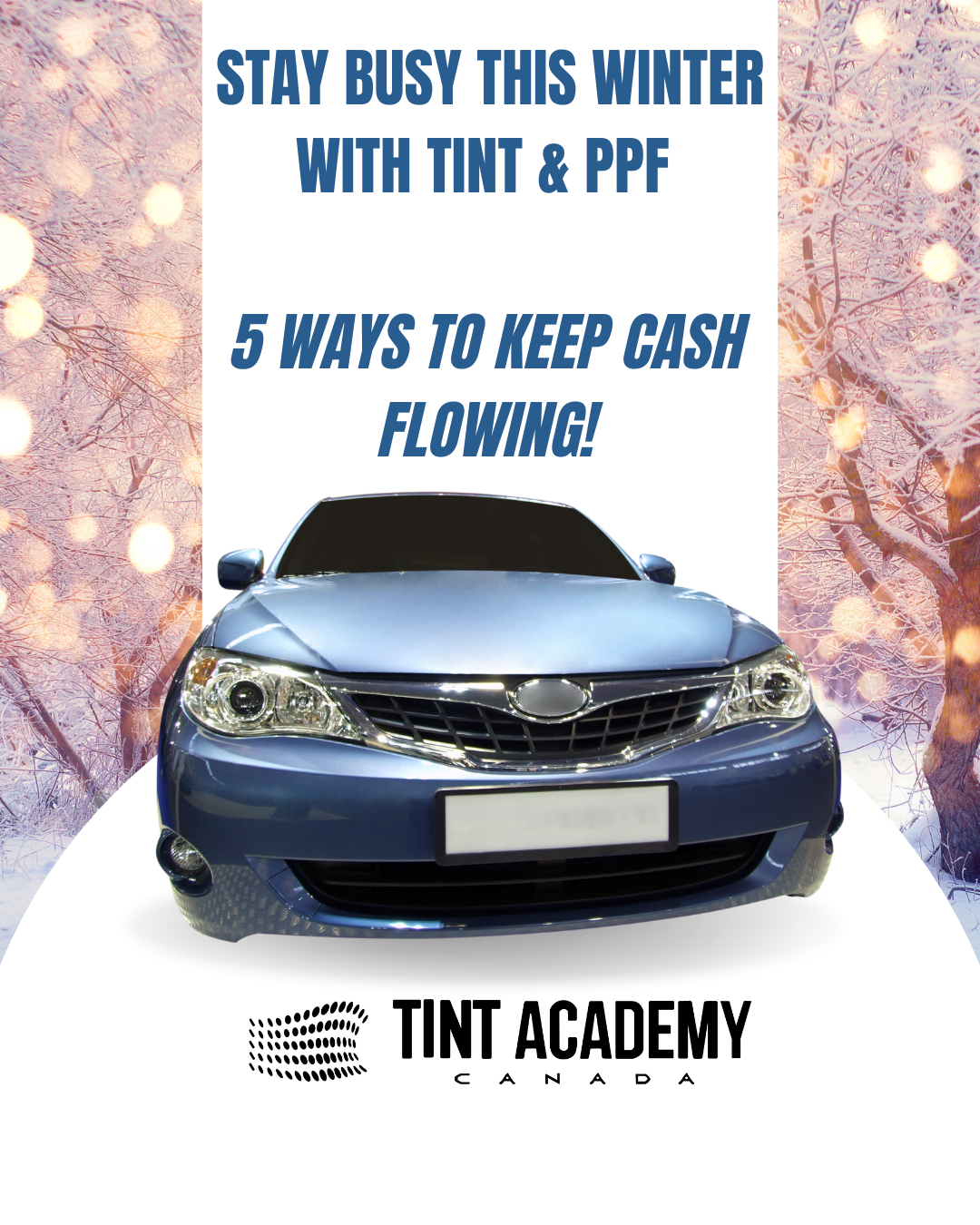 Beating the Winter Blues: How Window Tint and PPF Installers Can Stay Busy, Learn New Skills, and Make Money During the Colder Months