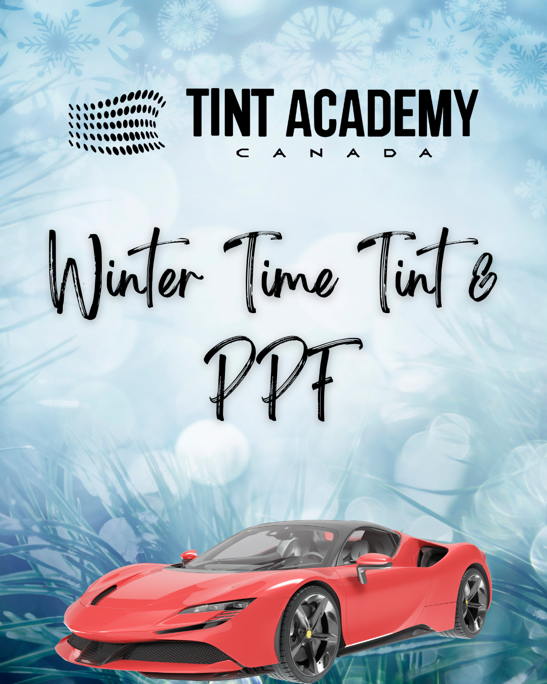 Winter is the Perfect Time to Learn Tint & PPF ❄️💰