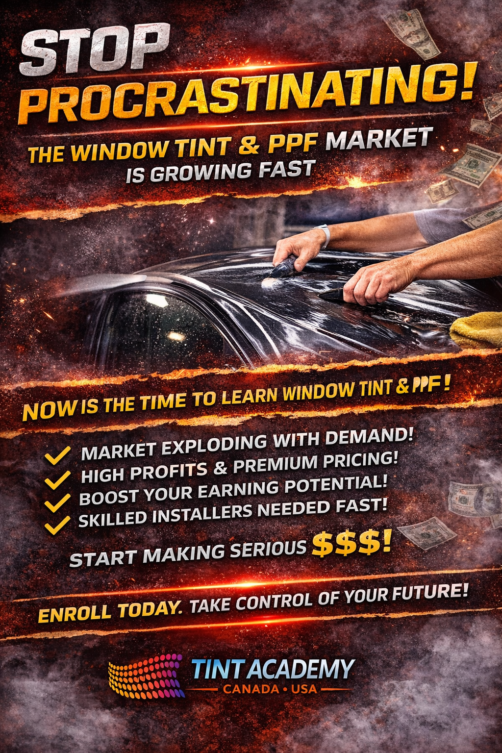 💡 Why now is the time to learn Window Tint and PPF