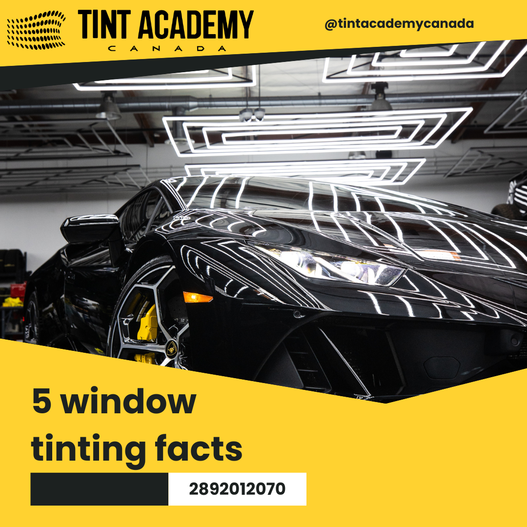 5 Window Tinting Facts You May Not Know!
